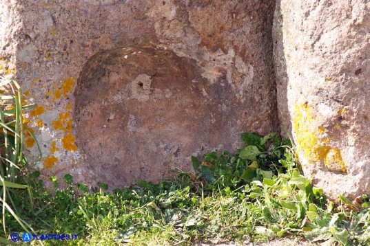 Dolmen Sa Coveccada (la nicchia sul lato destro della facciata)